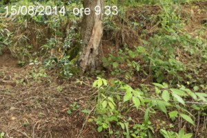 IMG_2466_dopo_1
